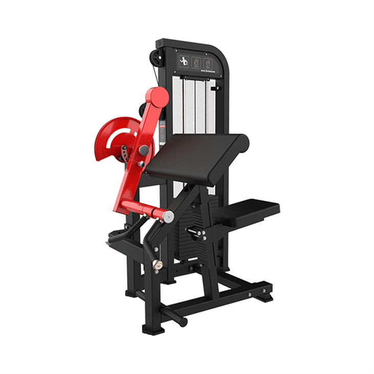 Biceps & Triceps Strength Machine price