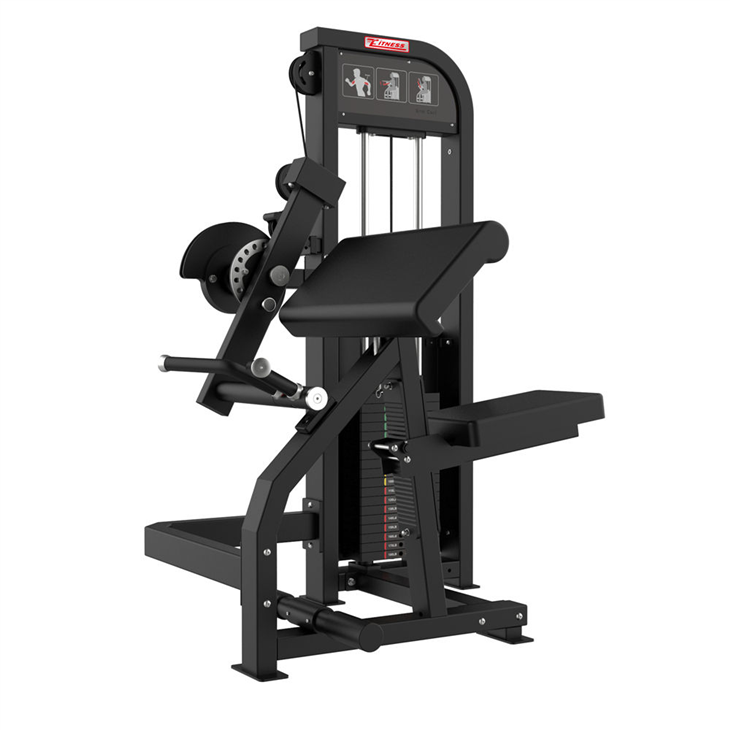Biceps & Triceps Strength Machine factory