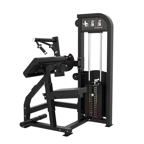 Biceps & Triceps Strength Machine best