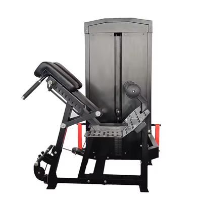 Sedet Back Extensio et Crispum Machina