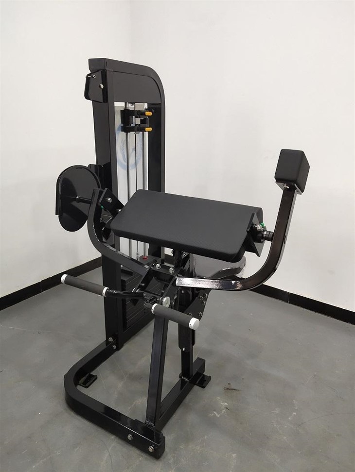 Triceps Extension high quality