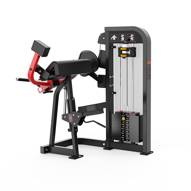 Triceps Extension suppliers