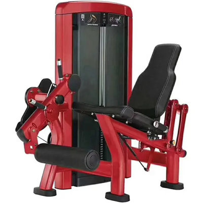 Leg Extension Machina: Targeted Quadriceps Training