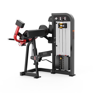 Triceps Tractus